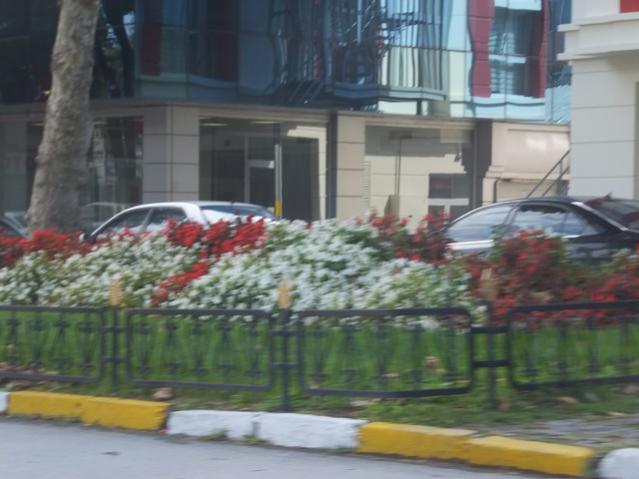 Name:  DSCF2369.jpg
Views: 286
Size:  40.5 KB
