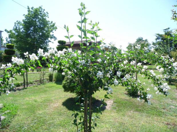Name:  023-023.jpg
Views: 690
Size:  70.8 KB