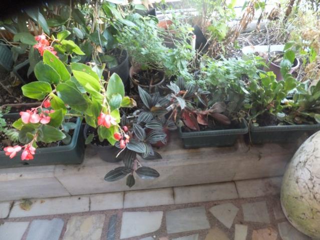 Name:  DSCF2374.jpg
Views: 207
Size:  56.6 KB