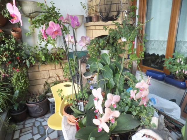 Name:  DSCF2407.jpg
Views: 175
Size:  62.1 KB