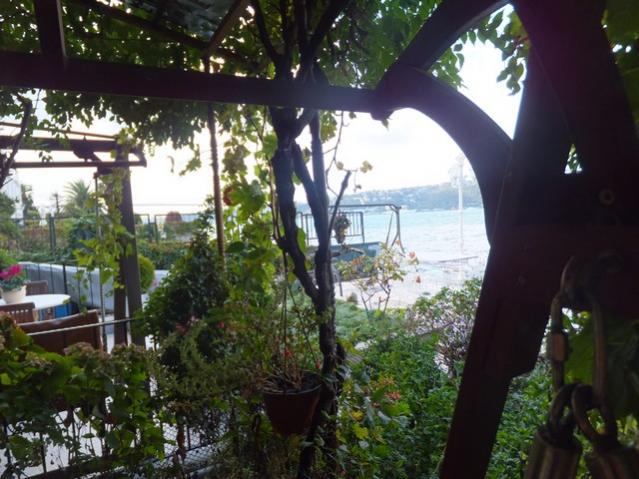 Name:  DSCF2438.jpg
Views: 297
Size:  56.3 KB