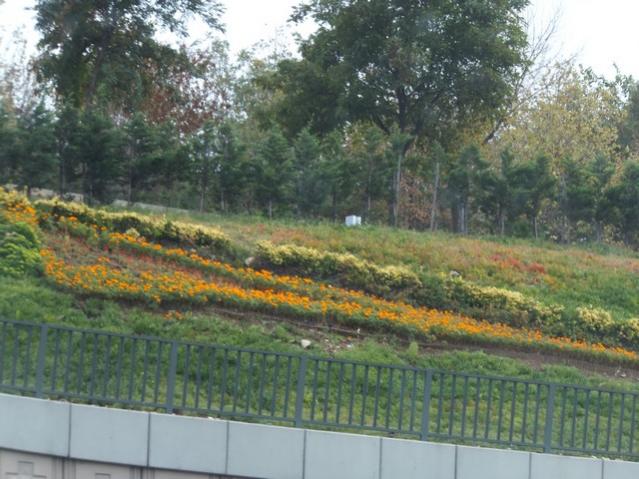 Name:  DSCF2475.jpg
Views: 277
Size:  56.6 KB