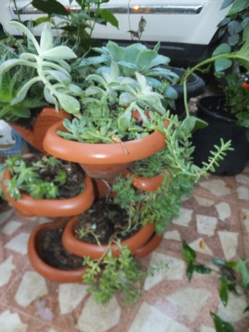 Name:  DSCF2607.jpg
Views: 385
Size:  61.4 KB