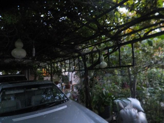 Name:  DSCF2622.jpg
Views: 362
Size:  44.6 KB