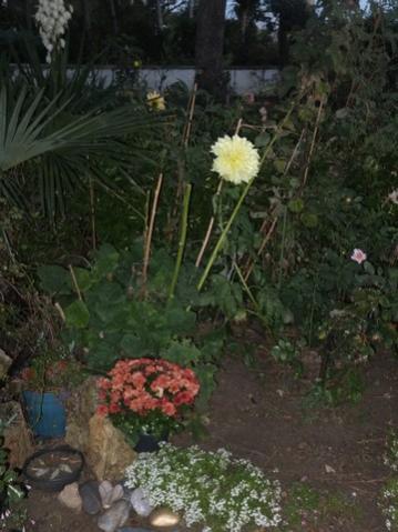 Name:  DSCF2753.jpg
Views: 249
Size:  31.6 KB