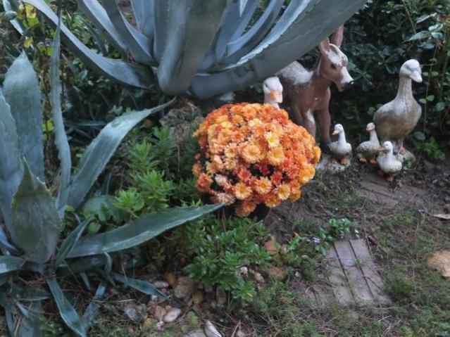 Name:  DSCF2754.jpg
Views: 256
Size:  59.6 KB