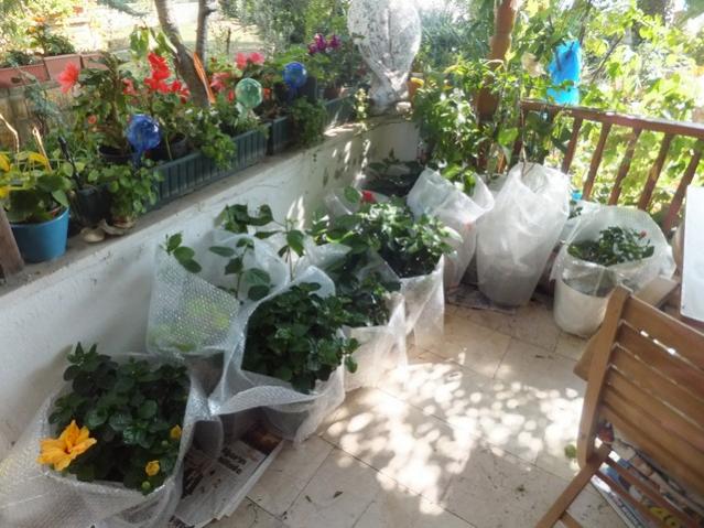 Name:  DSCF2801.jpg
Views: 274
Size:  59.8 KB