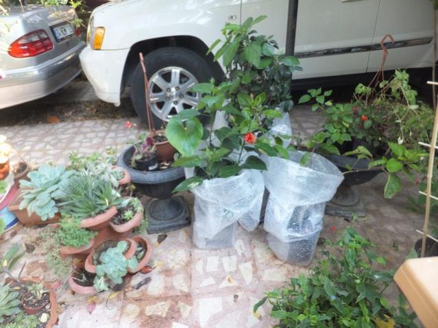 Name:  DSCF2807.jpg
Views: 239
Size:  56.3 KB
