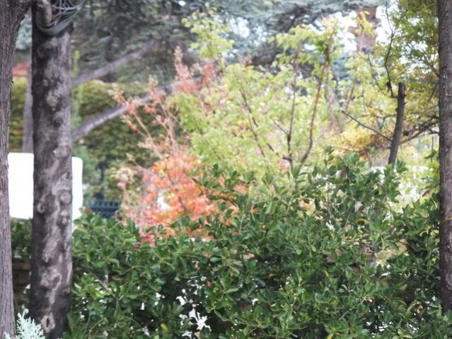 Name:  DSCF2943.jpg
Views: 185
Size:  69.5 KB