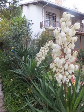 Name:  DSCF2945.jpg
Views: 188
Size:  37.1 KB
