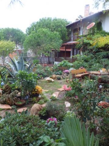 Name:  DSCF2948.jpg
Views: 178
Size:  37.6 KB