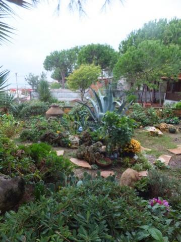 Name:  DSCF2949.jpg
Views: 189
Size:  36.0 KB