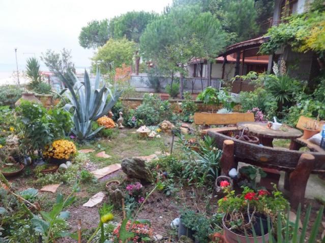 Name:  DSCF2954.jpg
Views: 408
Size:  66.7 KB