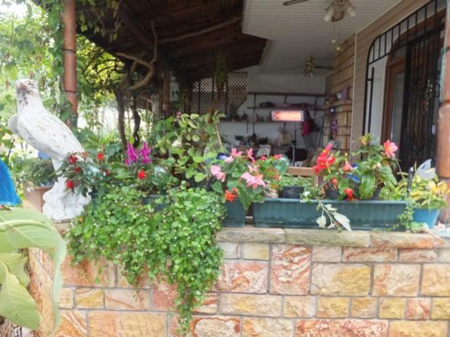 Name:  DSCF2956.jpg
Views: 388
Size:  60.6 KB
