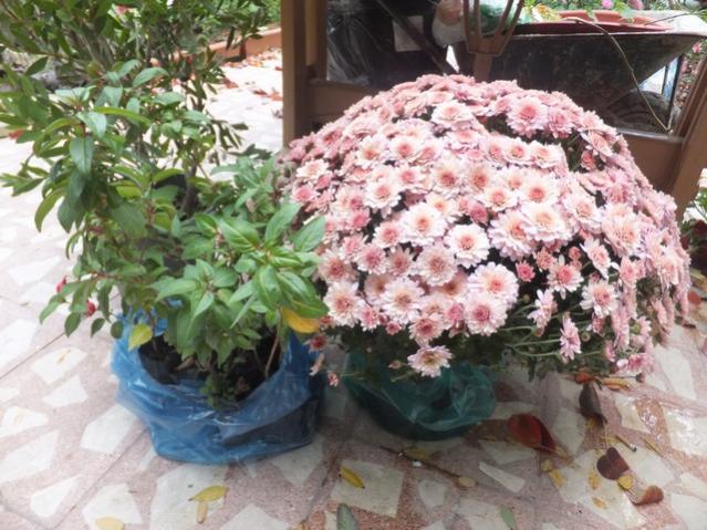 Name:  DSCF2973.jpg
Views: 332
Size:  62.9 KB