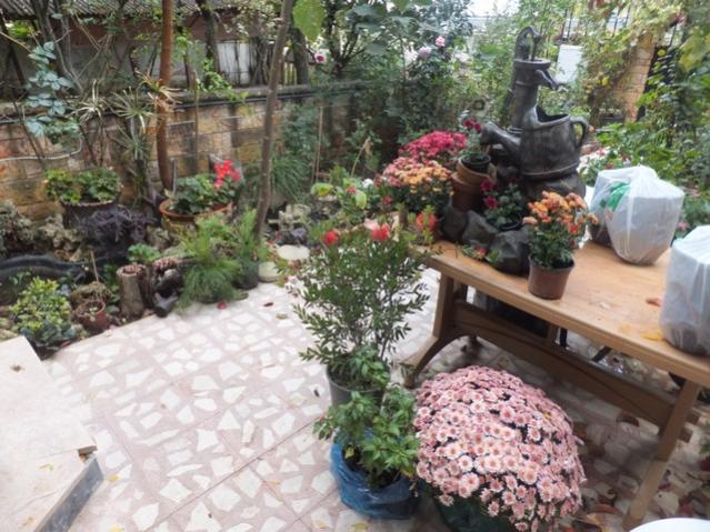 Name:  DSCF2980.jpg
Views: 302
Size:  65.7 KB