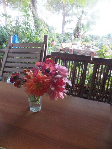 Name:  DSCF3054.jpg
Views: 303
Size:  64.1 KB