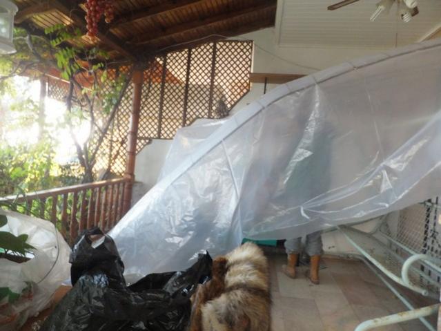Name:  DSCF3047.jpg
Views: 301
Size:  45.6 KB