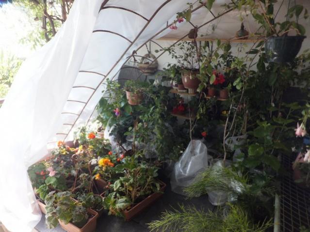 Name:  DSCF3066.jpg
Views: 282
Size:  49.1 KB