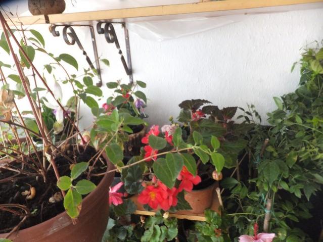Name:  DSCF3070.jpg
Views: 300
Size:  53.1 KB