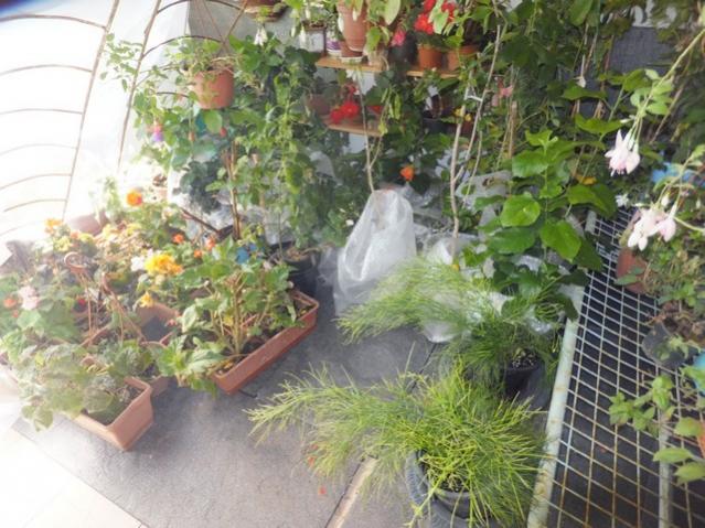 Name:  DSCF3075.jpg
Views: 270
Size:  62.5 KB