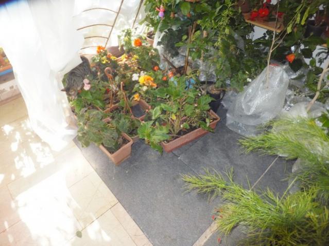 Name:  DSCF3076.jpg
Views: 292
Size:  49.3 KB