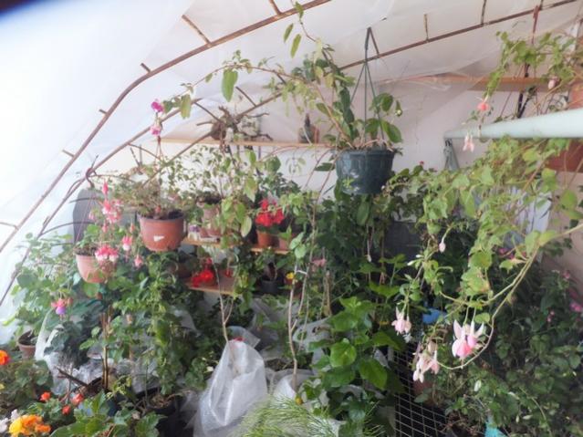 Name:  DSCF3077.jpg
Views: 286
Size:  58.5 KB
