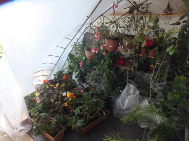 Name:  DSCF3078.jpg
Views: 291
Size:  42.4 KB