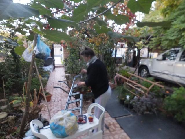 Name:  DSCF3143.jpg
Views: 292
Size:  50.7 KB