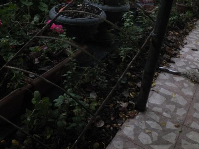 Name:  DSCF3149.jpg
Views: 283
Size:  38.6 KB
