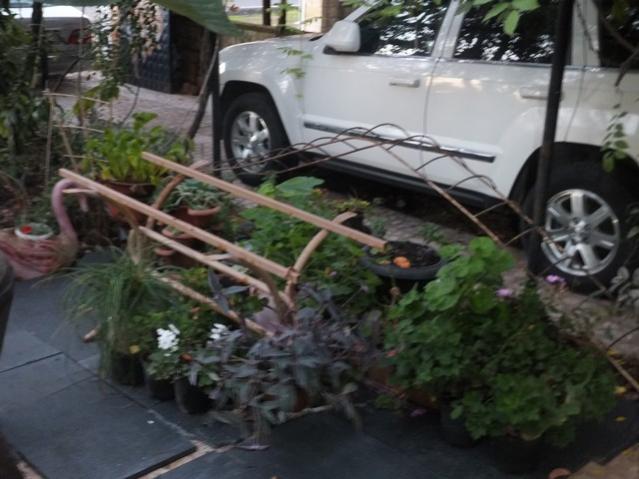 Name:  DSCF3141.jpg
Views: 293
Size:  45.5 KB