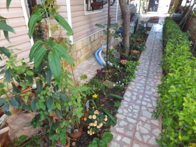 Name:  DSCF3168.jpg
Views: 362
Size:  63.5 KB