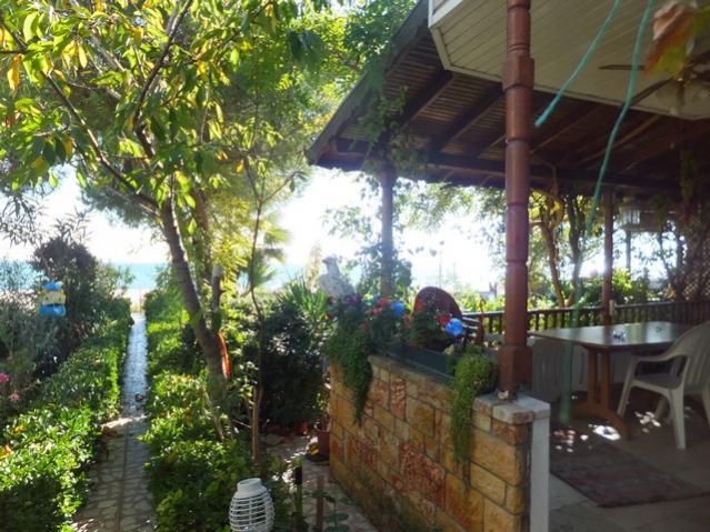 Name:  DSCF3169.jpg
Views: 337
Size:  67.4 KB