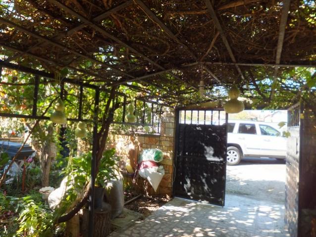 Name:  DSCF3170.jpg
Views: 347
Size:  70.3 KB