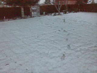Name:  1386512853749.jpg
Views: 594
Size:  17.8 KB