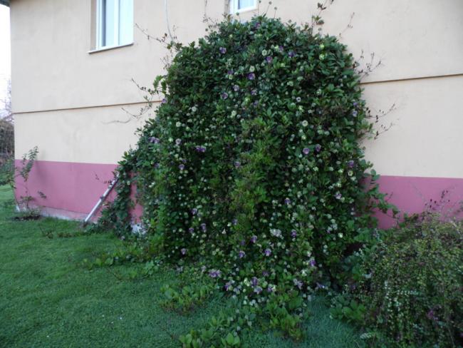 Name:  070-070.jpg
Views: 1083
Size:  58.0 KB