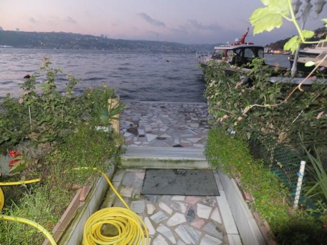 Name:  DSCF3209.jpg
Views: 293
Size:  55.3 KB