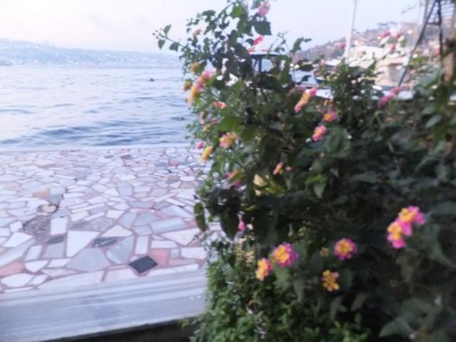 Name:  DSCF3219.jpg
Views: 273
Size:  42.7 KB