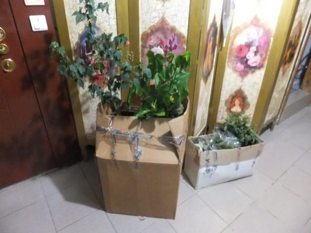 Name:  DSCF3353.jpg
Views: 308
Size:  38.2 KB