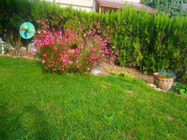 Name:  genel3.jpg
Views: 946
Size:  60.7 KB