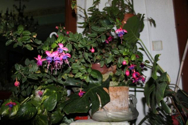 Name:  IMG_0087.jpg
Views: 270
Size:  45.1 KB