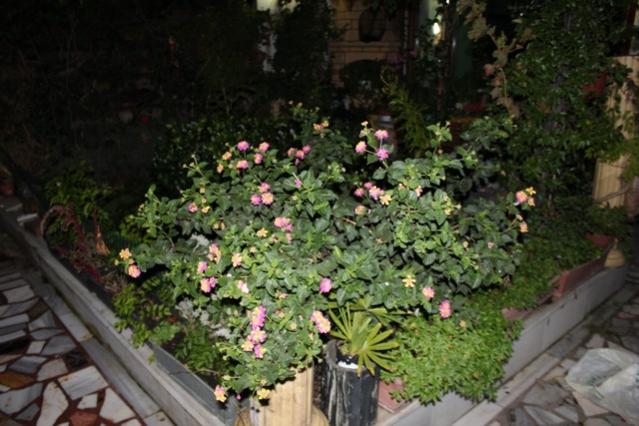 Name:  IMG_0098.jpg
Views: 280
Size:  51.1 KB