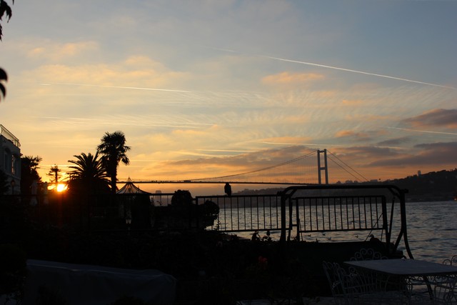 Name:  IMG_0107.jpg
Views: 281
Size:  64.5 KB