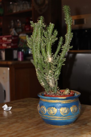 Name:  IMG_0122.jpg
Views: 256
Size:  54.1 KB
