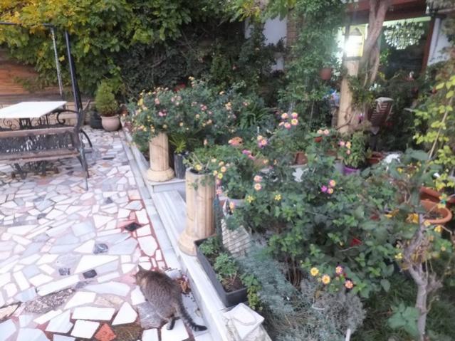 Name:  DSCF3407.jpg
Views: 213
Size:  63.4 KB