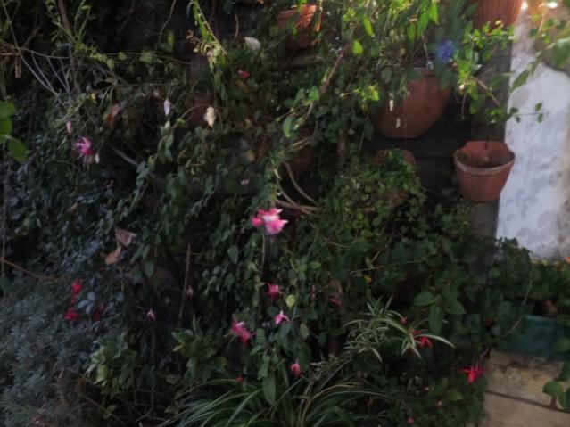 Name:  DSCF3438.jpg
Views: 203
Size:  47.2 KB