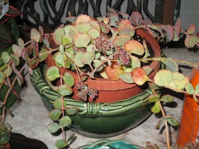 Name:  DSCF3452.jpg
Views: 204
Size:  55.5 KB