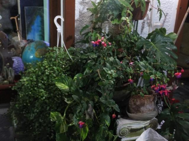 Name:  DSCF3469.jpg
Views: 486
Size:  50.2 KB