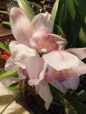 Name:  DSCF3578.jpg
Views: 411
Size:  52.3 KB