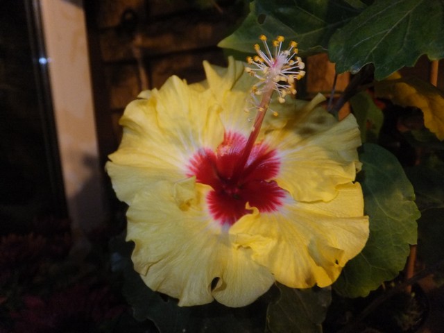 Name:  DSCF3619.jpg
Views: 383
Size:  65.7 KB